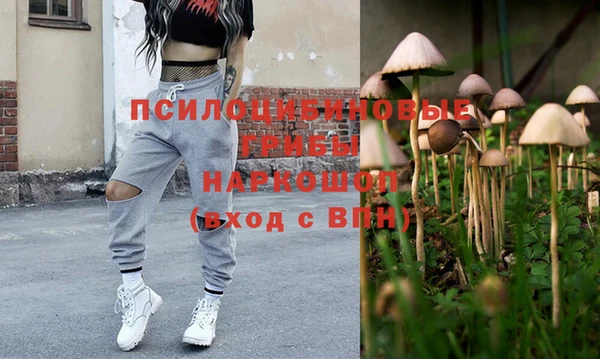 твердый Ростов