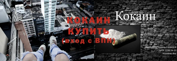 твердый Ростов