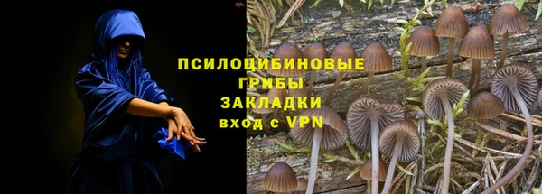 не бодяженный Рославль