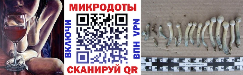Галлюциногенные грибы Psilocybine cubensis  Горячеводский 